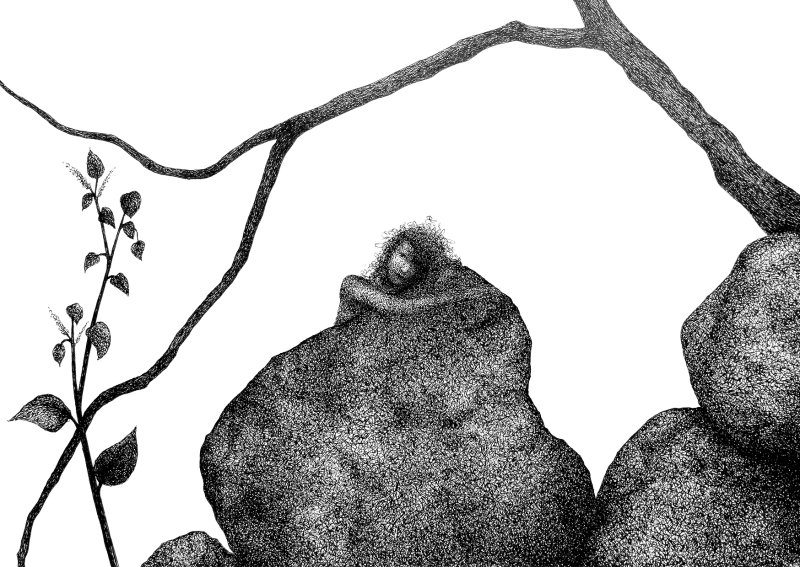 Sweet Rocks 