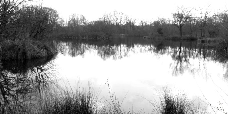Grand bain